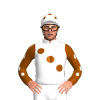 Jockey Silk