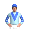 Jockey Silk