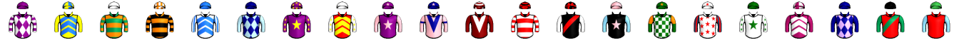 Runner silk