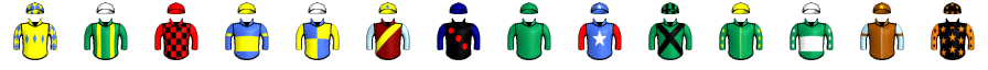 Runner silk