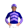 Jockey Silk