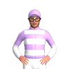 Jockey Silk
