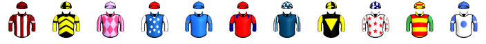 Runner silk