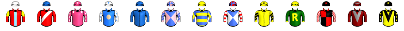 Runner silk
