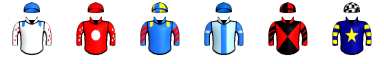 Runner silk
