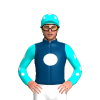 Jockey Silk