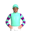 Jockey Silk