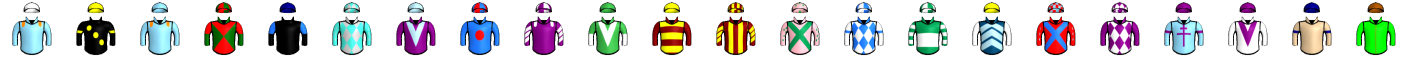 Runner silk