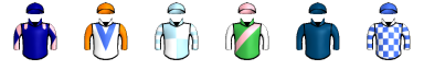 Runner silk