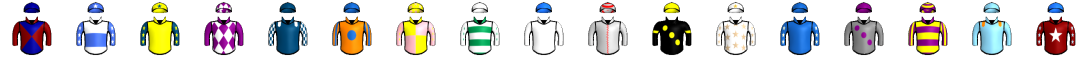 Runner silk