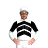 Jockey Silk