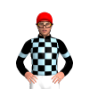 Jockey Silk