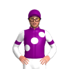 Jockey Silk