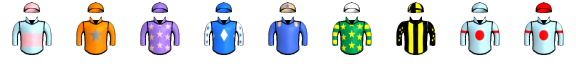 Runner silk