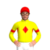 Jockey Silk