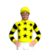 Jockey Silk