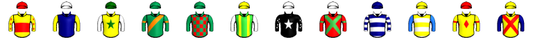 Runner silk