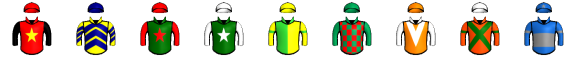 Runner silk