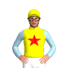 Jockey Silk