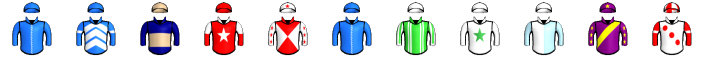 Runner silk