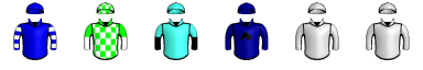 Runner silk