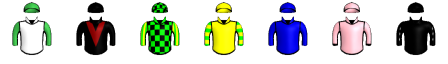 Runner silk