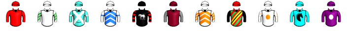 Runner silk