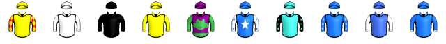 Runner silk
