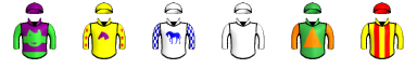 Runner silk