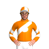 Jockey Silk