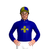 Jockey Silk
