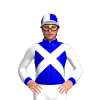 Jockey Silk