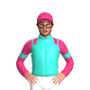 Jockey Silk