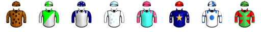 Runner silk