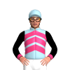 Jockey Silk
