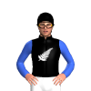 Jockey Silk