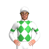 Jockey Silk