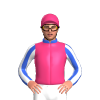 Jockey Silk