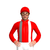 Jockey Silk