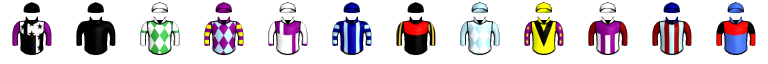 Runner silk
