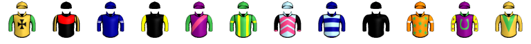 Runner silk