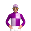 Jockey Silk
