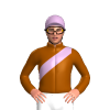 Jockey Silk