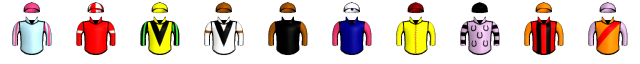 Runner silk