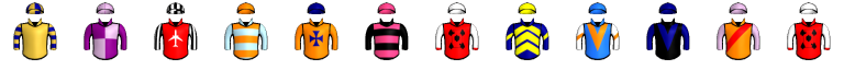 Runner silk