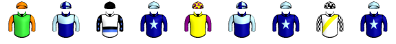 Runner silk