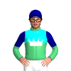 Jockey Silk