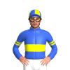 Jockey Silk
