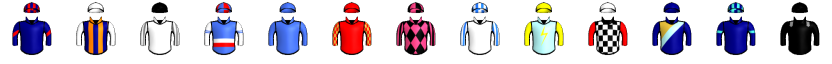 Runner silk