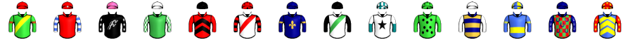 Runner silk